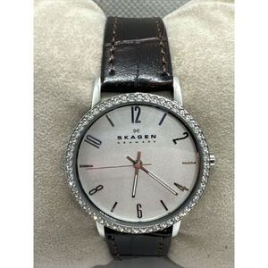 Skagen Denmark SKW2284 Women Brown Leather Analog Dial Quartz Wrist Watch AEA246